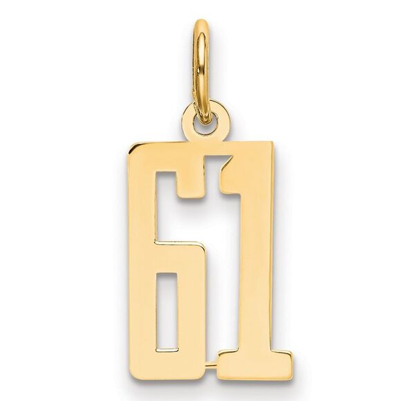 14k Yellow Gold Small Elongated Number 61 Charm